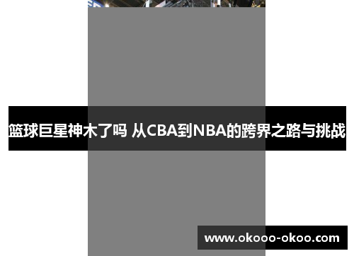 篮球巨星神木了吗 从CBA到NBA的跨界之路与挑战